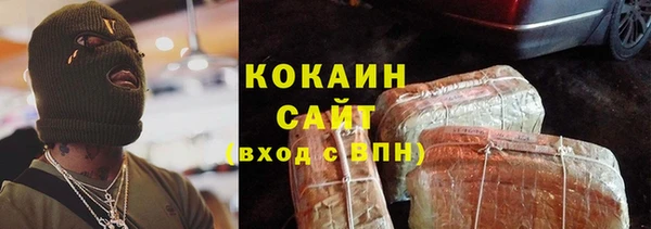сатива Бородино
