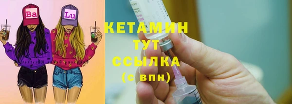 сатива Бородино