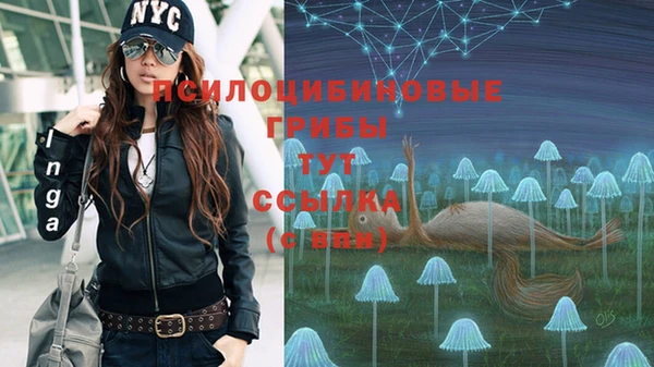дмт Бугульма
