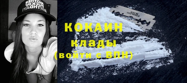 сатива Бородино