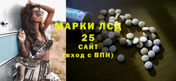 сатива Бородино