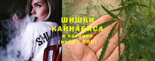 сатива Бородино