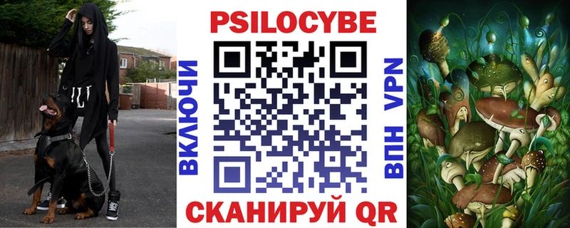 darknet официальный сайт  hydra зеркало  Тбилисская  Галлюциногенные грибы GOLDEN TEACHER 
